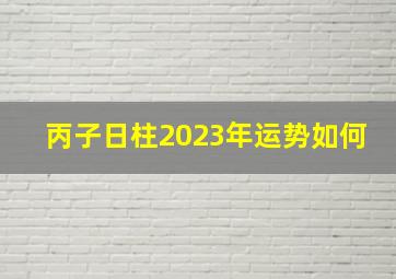 丙子日柱2023年运势如何,2023年脱单的八字大驿土命专一待人遇正缘