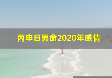 丙申日男命2020年感情,时柱和日柱都是丙申