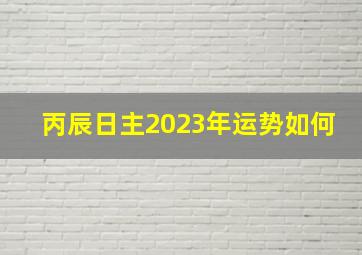 丙辰日主2023年运势如何,2023年考运好到爆的八字身旺或从官杀格心想事成