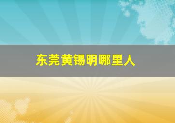 东莞黄锡明哪里人,东莞扫黄的事件内容