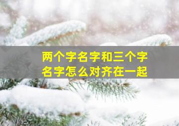 两个字名字和三个字名字怎么对齐在一起,怎么把2个字的名字和三个字的名字对齐