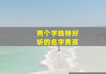 两个字独特好听的名字男孩