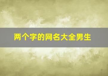 两个字的网名大全男生,两个字网名2024最新版的男生