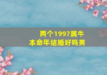 两个1997属牛本命年结婚好吗男,97年属牛本命年可以结婚吗