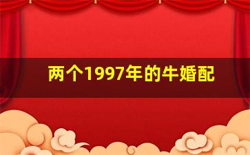 两个1997年的牛婚配,1997生肖牛和什么生肖最配97年属牛的属相婚配表