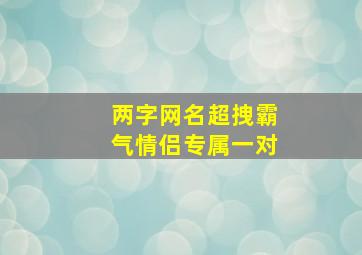 两字网名超拽霸气情侣专属一对,情侣网名两个字高冷