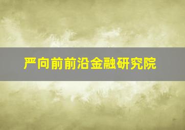 严向前前沿金融研究院,前沿金融学院严向前