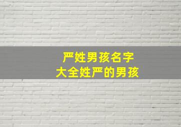 严姓男孩名字大全姓严的男孩