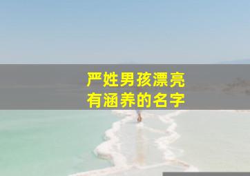 严姓男孩漂亮有涵养的名字,严姓男孩漂亮有涵养的名字虎年出生