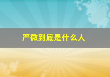 严微到底是什么人,严微的父亲为什么把自己的女人嫁给孔子的父亲