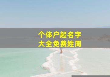 个体户起名字大全免费姓周,个体户营业执照怎么起名字