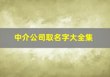 中介公司取名字大全集,中介公司起名好记大方