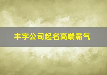 丰字公司起名高端霸气,丰字公司起名高端霸气名字