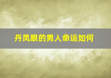 丹凤眼的男人命运如何,丹凤眼的男人面相