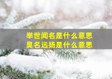 举世闻名是什么意思臭名远扬是什么意思,举世闻名和臭名远扬都有什么意思