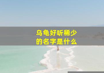 乌龟好听稀少的名字是什么,乌龟好听稀少的名字是什么意思