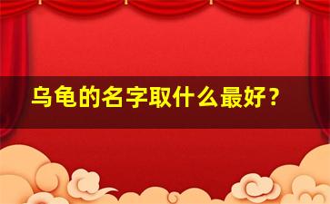 乌龟的名字取什么最好？,乌龟的名字取什么最好听女生