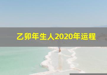 乙卯年生人2020年运程,属兔2022年运程及每月运程2022年属兔人全年运势