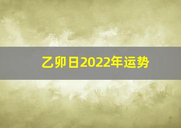 乙卯日2022年运势