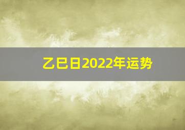 乙巳日2022年运势