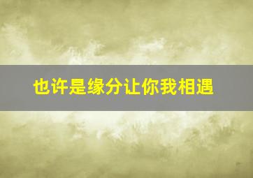 也许是缘分让你我相遇,也许是缘分吧