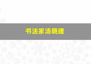 书法家汤晓建,书法家汤晓建简介