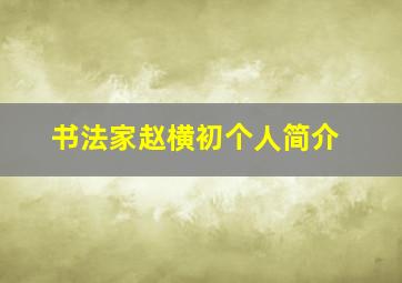 书法家赵横初个人简介,中国现代书法家排名