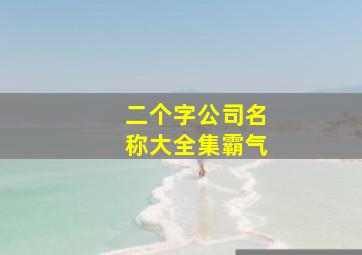 二个字公司名称大全集霸气,二个字公司名称大全集最新