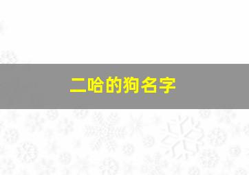 二哈的狗名字,二哈狗名字什么带财运好听