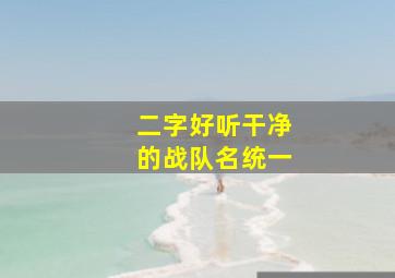 二字好听干净的战队名统一,好听干净的战队名字