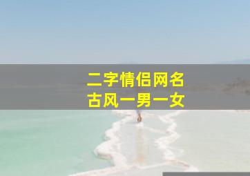 二字情侣网名古风一男一女,古风情侣名两个字