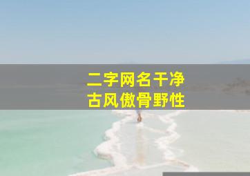 二字网名干净古风傲骨野性,两字网名简单气质古风有意境的古风二字网名