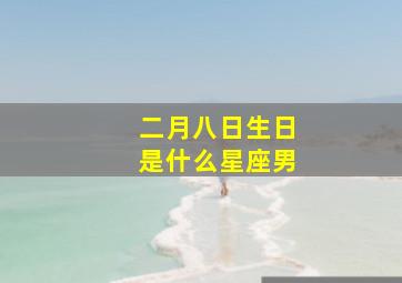 二月八日生日是什么星座男,阳历2007年2月8日9点30分是什么星座