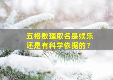 五格数理取名是娱乐还是有科学依据的？,起名用五格数理好还是周易好