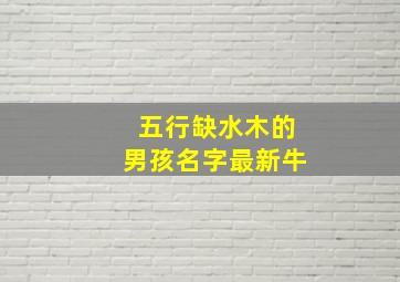 五行缺水木的男孩名字最新牛,五行缺水木的男孩取名用字有哪些