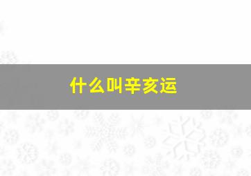 什么叫辛亥运,什么叫辛亥运势