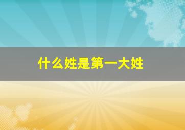 什么姓是第一大姓,中国第一大姓氏是什么