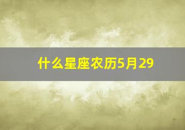 什么星座农历5月29