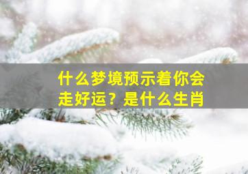 什么梦境预示着你会走好运？是什么生肖,什么梦境预示着你会走好运?是什么生肖动物