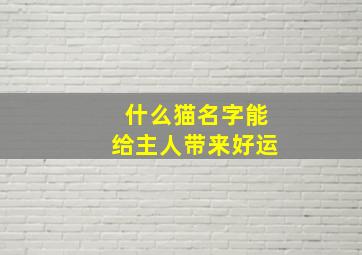 什么猫名字能给主人带来好运,什么猫咪名字好听