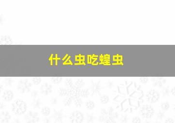 什么虫吃蝗虫,蝗虫的天敌是什么动物