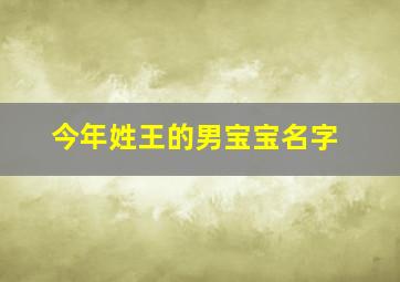 今年姓王的男宝宝名字,姓王的男孩子叫什么名字好听干净好听的男宝宝名字