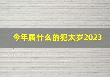 今年属什么的犯太岁2023