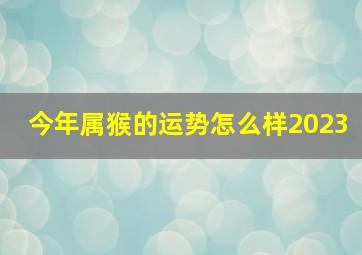 今年属猴的运势怎么样2023,生肖猴2023年运势