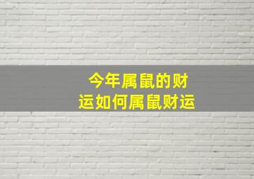 今年属鼠的财运如何属鼠财运,今年属鼠财运和运气怎么样