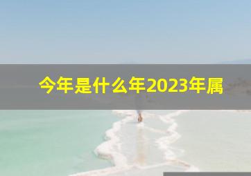 今年是什么年2023年属,2023什么年属相