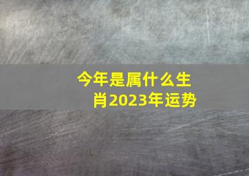 今年是属什么生肖2023年运势,十二生肖属相2023年运程运势