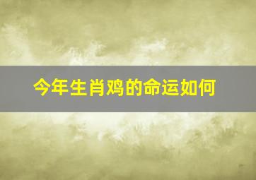 今年生肖鸡的命运如何