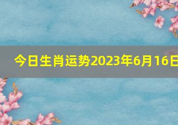 今日生肖运势2023年6月16日,属羊2023年运程及运势详解2023年属羊人全年每月运势