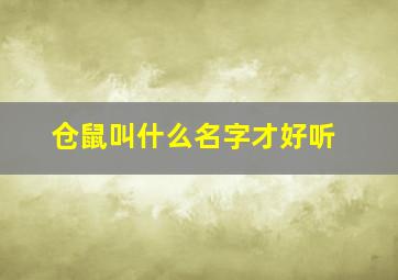 仓鼠叫什么名字才好听,仓鼠叫什么名字才好听呢